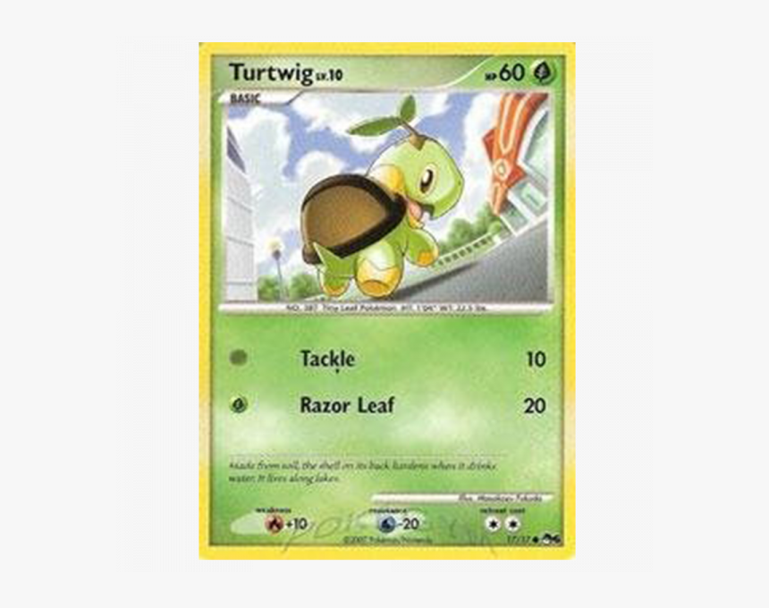 Turtwig Png, Transparent Png, Free Download