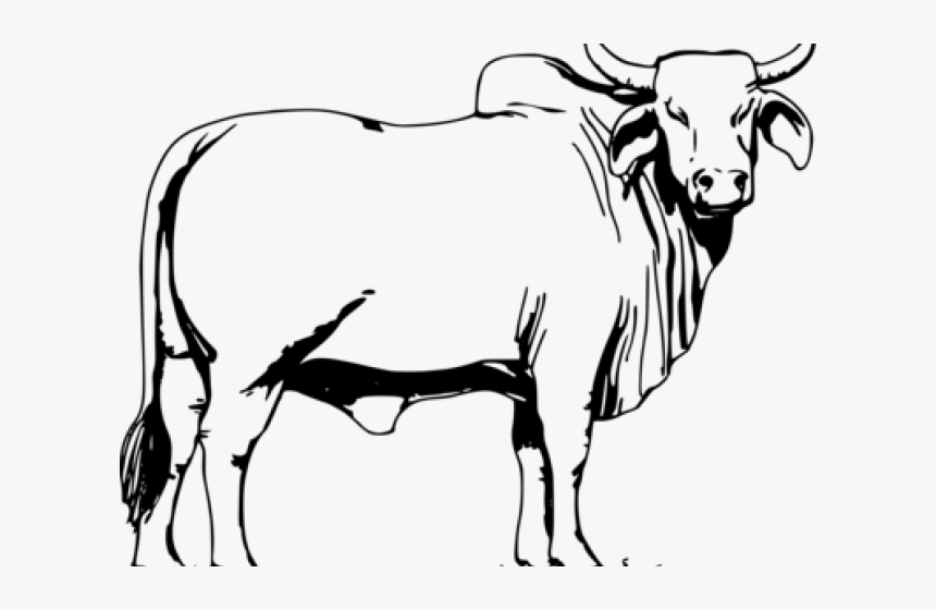 Ox Clipart Angry Cow, HD Png Download, Free Download