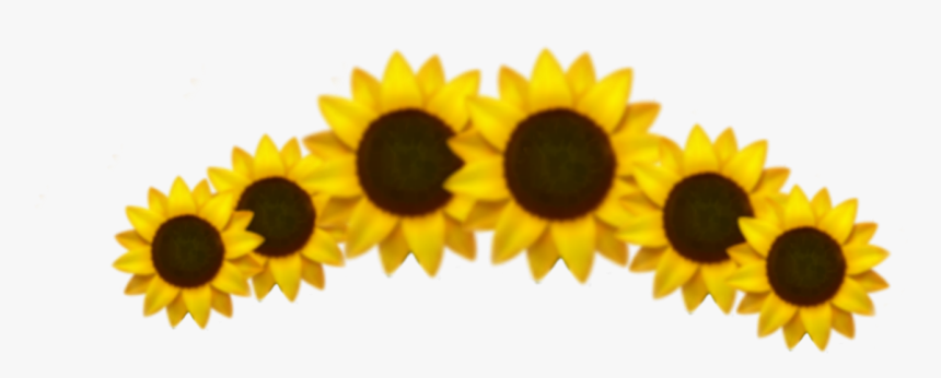 #emoji #sunflower #crown #yellow #aesthetic #xd #idk, HD Png Download, Free Download