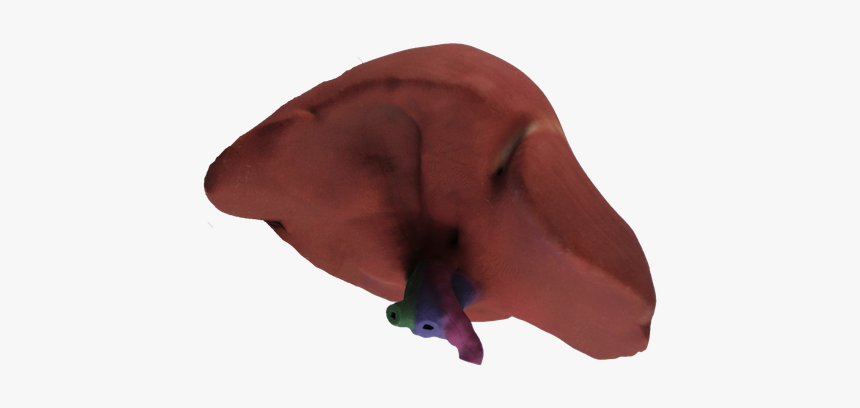 3d Stick Figure Png, Transparent Png, Free Download