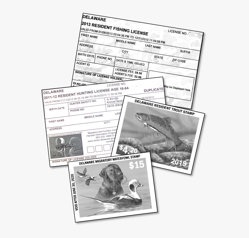 Photo Collage Png, Transparent Png, Free Download