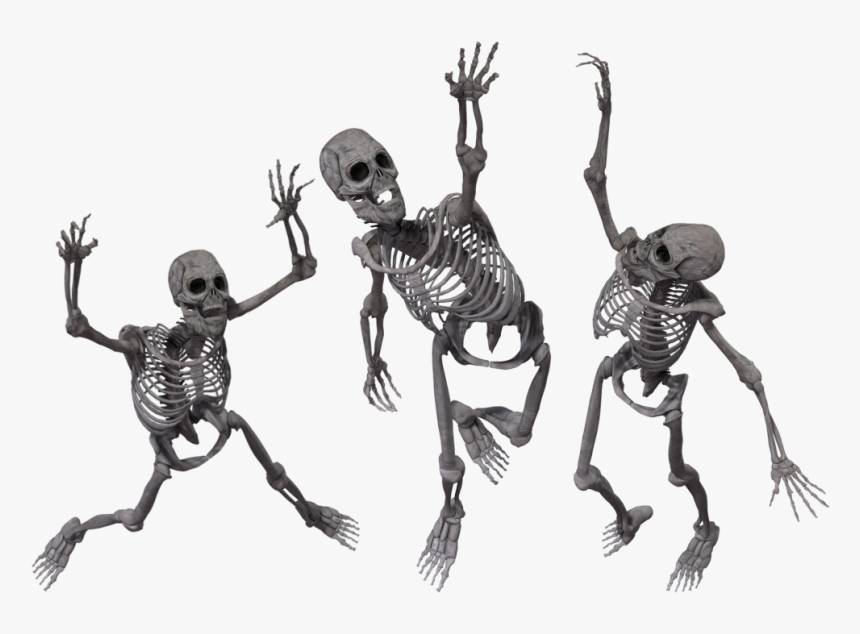 Halloween Skeleton Png, Transparent Png, Free Download