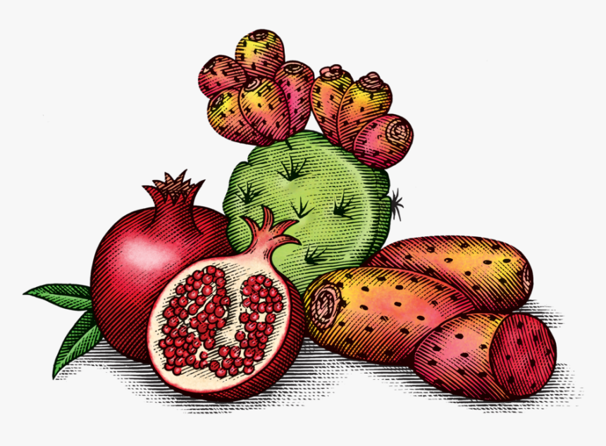 Pricklypearpomegranate, HD Png Download, Free Download