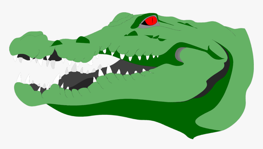 Alligator Head Png, Transparent Png, Free Download