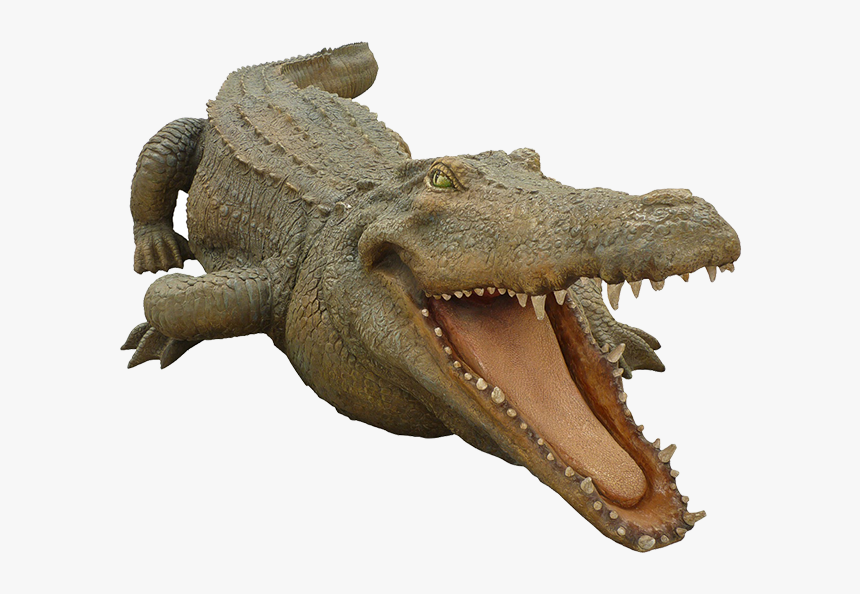 Crocodiles Nile Crocodile Alligator Animal, HD Png Download, Free Download