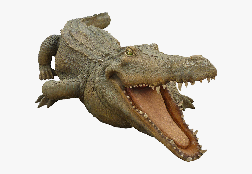 nile crocodile clipart image