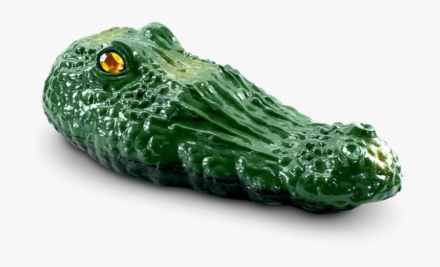 Alligator Head Png, Transparent Png, Free Download