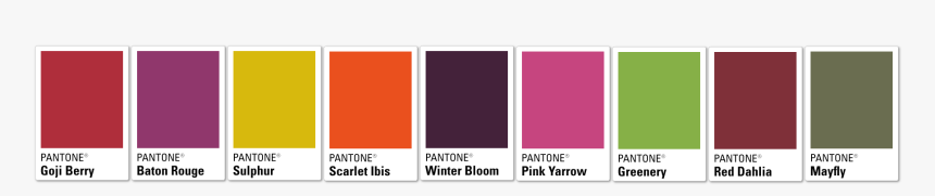 Pantone Png, Transparent Png, Free Download