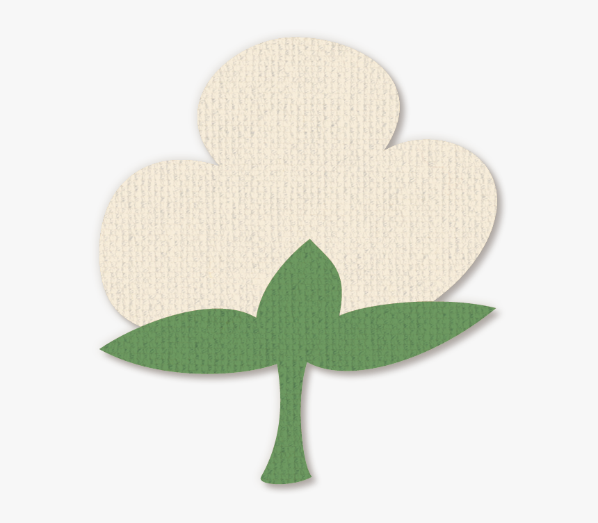 Cotton Plant Png, Transparent Png, Free Download