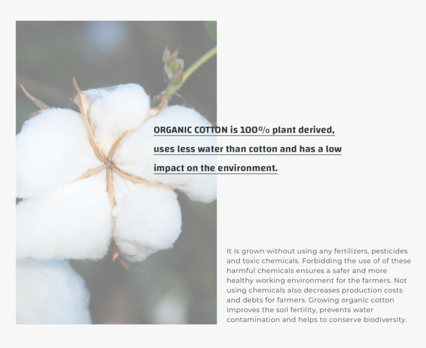 Organic Cotton New, HD Png Download, Free Download