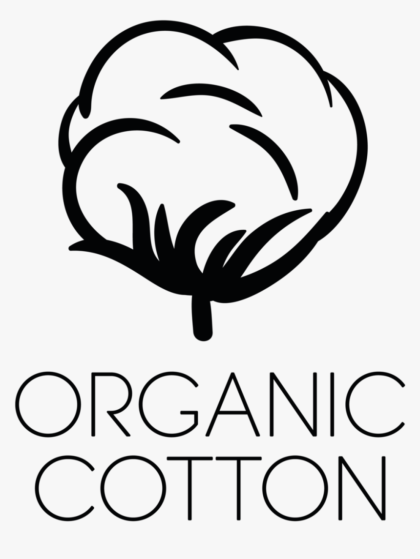 Cotton Clipart , Png Download, Transparent Png - kindpng