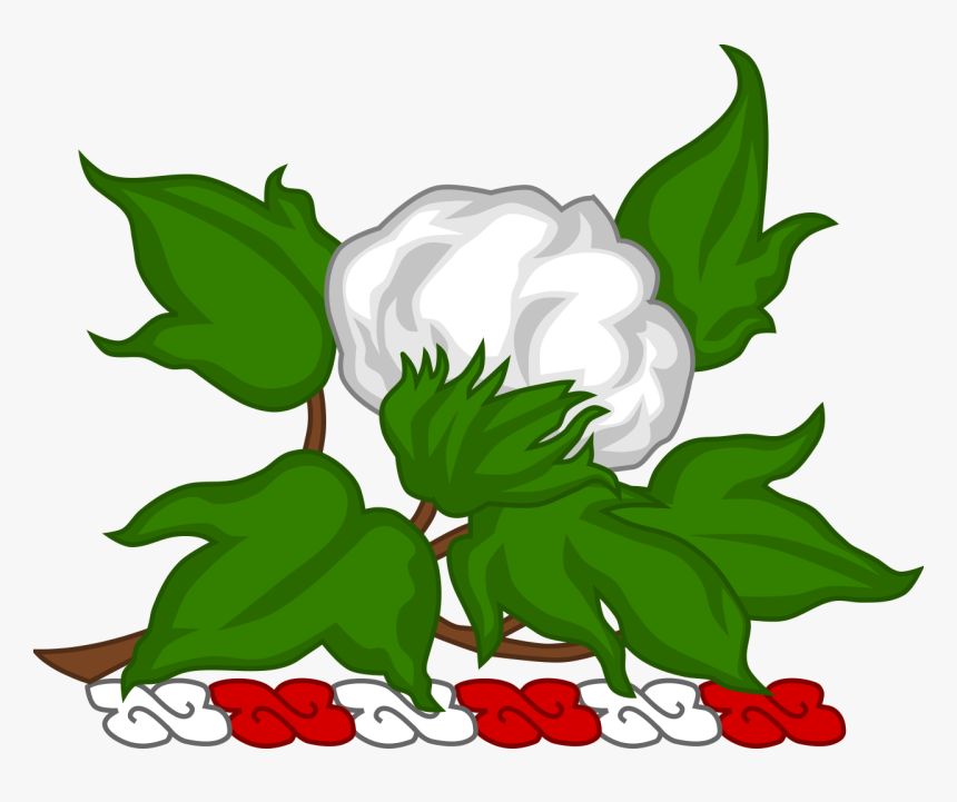 Cotton Plant Png, Transparent Png, Free Download