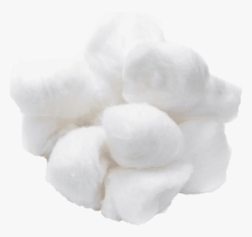 Cotton Ball Png Clipart , Png Download, Transparent Png, Free Download