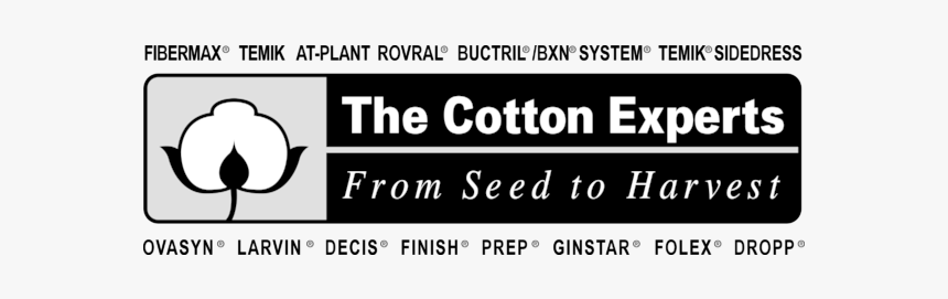 Cotton Plant Png, Transparent Png, Free Download