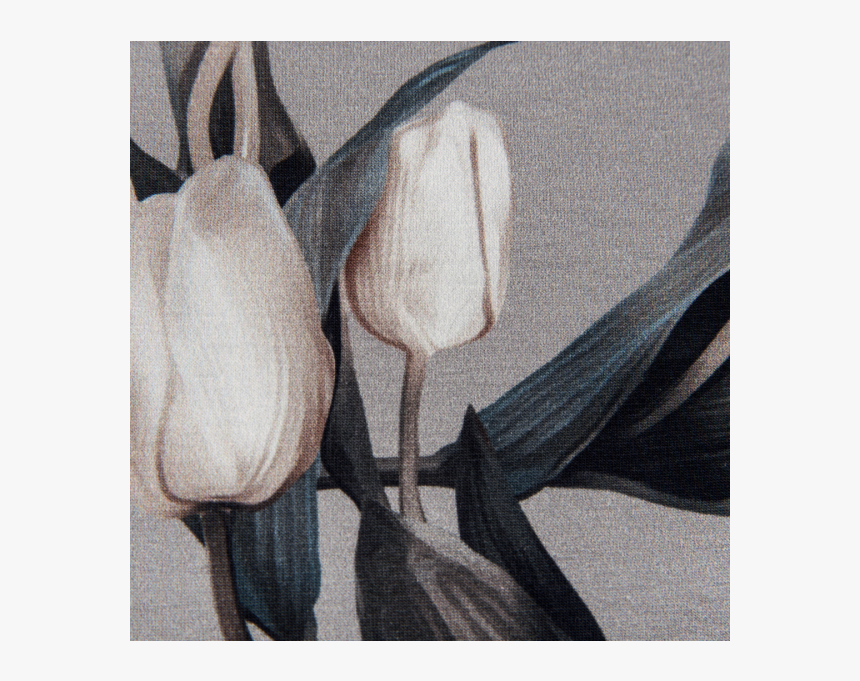 Cotton Jersey Digital Printed Tulips In Grey, HD Png Download, Free Download