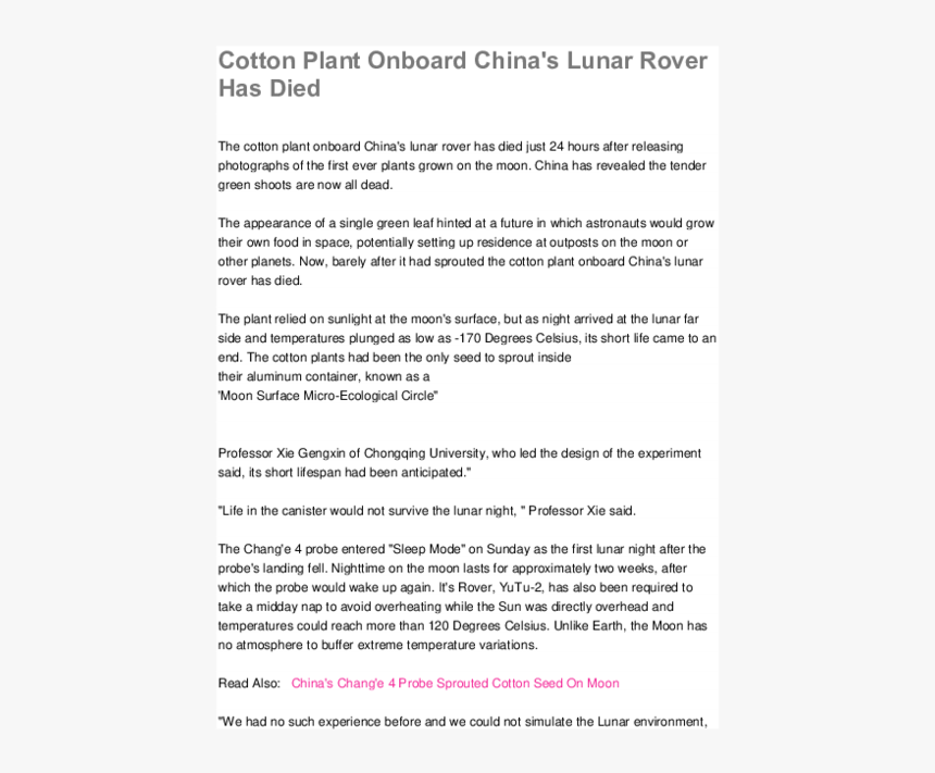 Cotton Plant Png, Transparent Png, Free Download