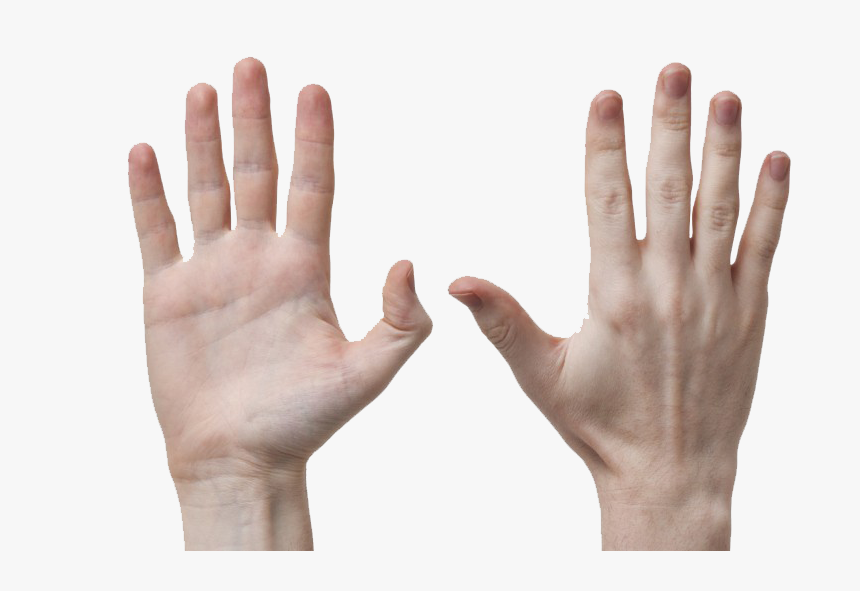 Fingers Png Background, Transparent Png, Free Download