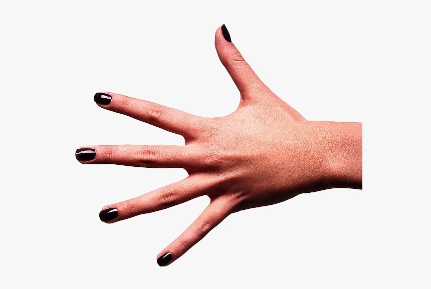 Fingers Png Free Download, Transparent Png, Free Download