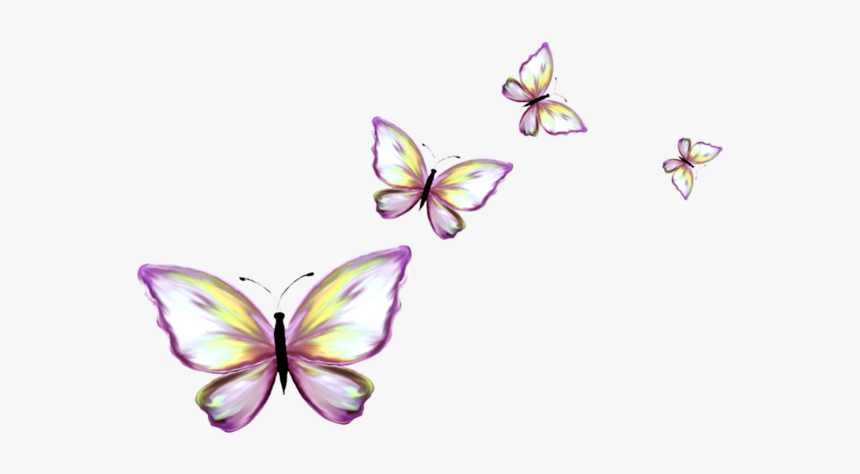 Butterfly .png, Transparent Png, Free Download