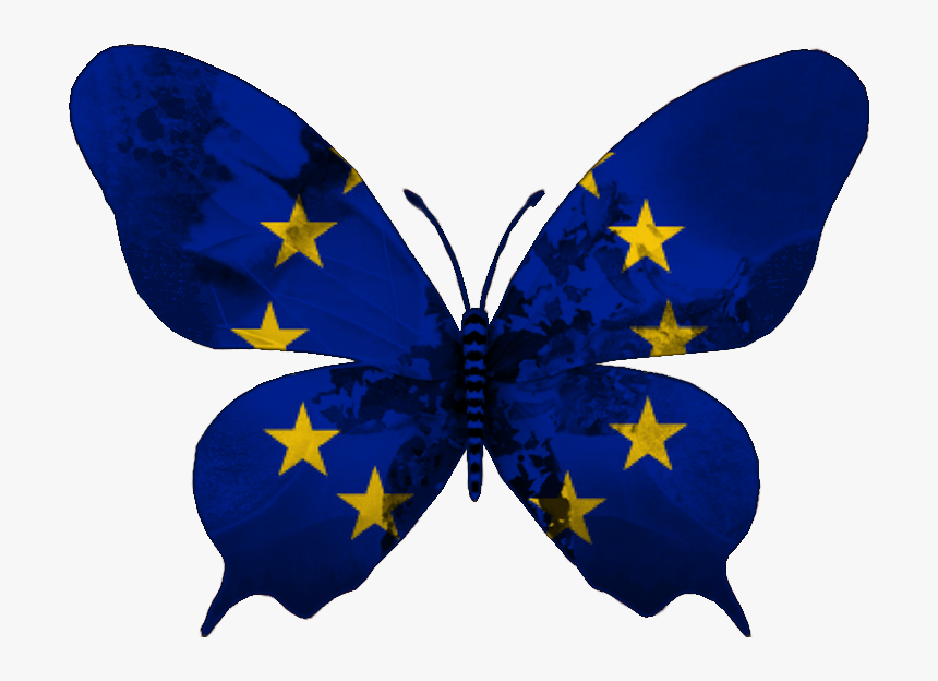 Butterfly .png, Transparent Png, Free Download