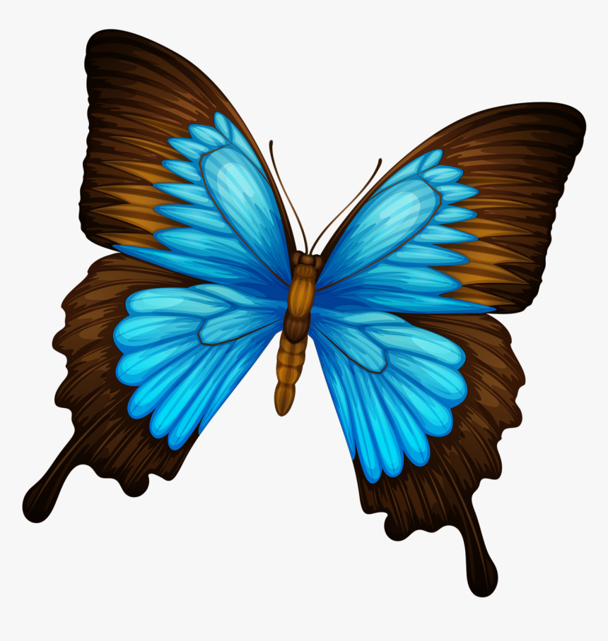 Butterfly .png, Transparent Png, Free Download