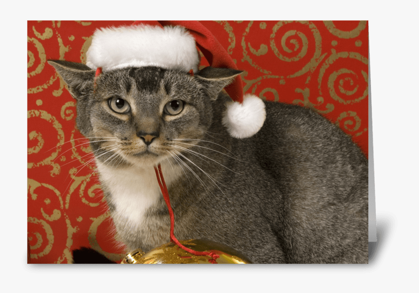 Merry Christmas Greeting Card, HD Png Download, Free Download