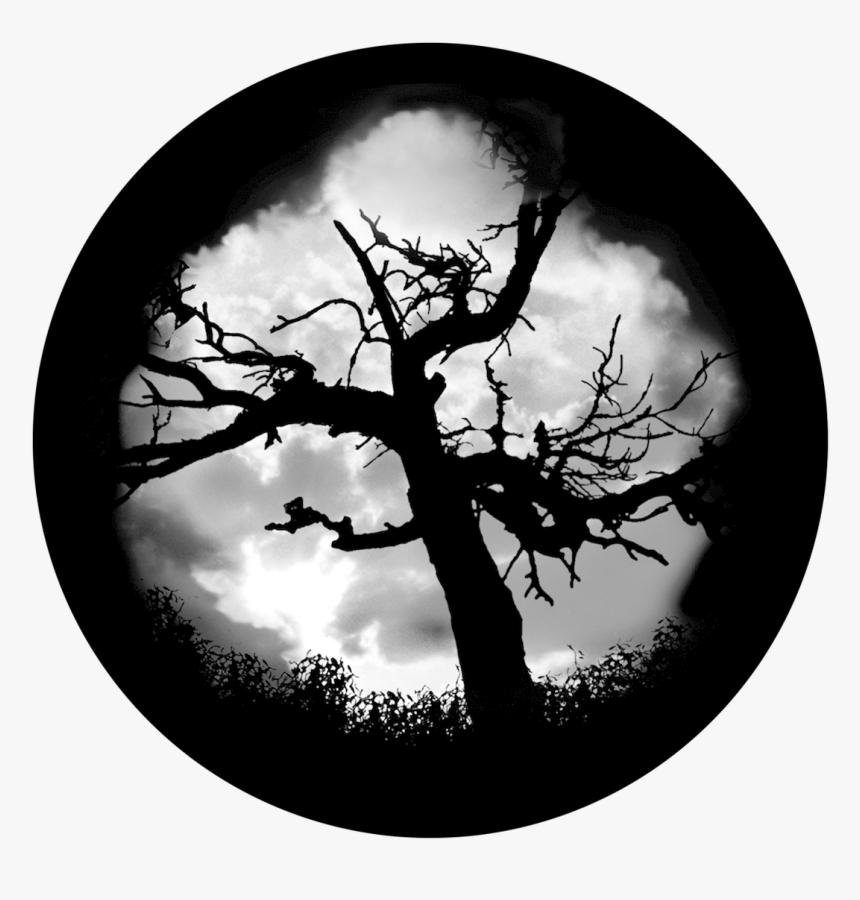 Apollo Haunted Tree, HD Png Download, Free Download
