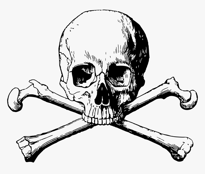 Clip Art Skull And Cross Bones Png - Transparent Background Skull Png, Png Download, Free Download