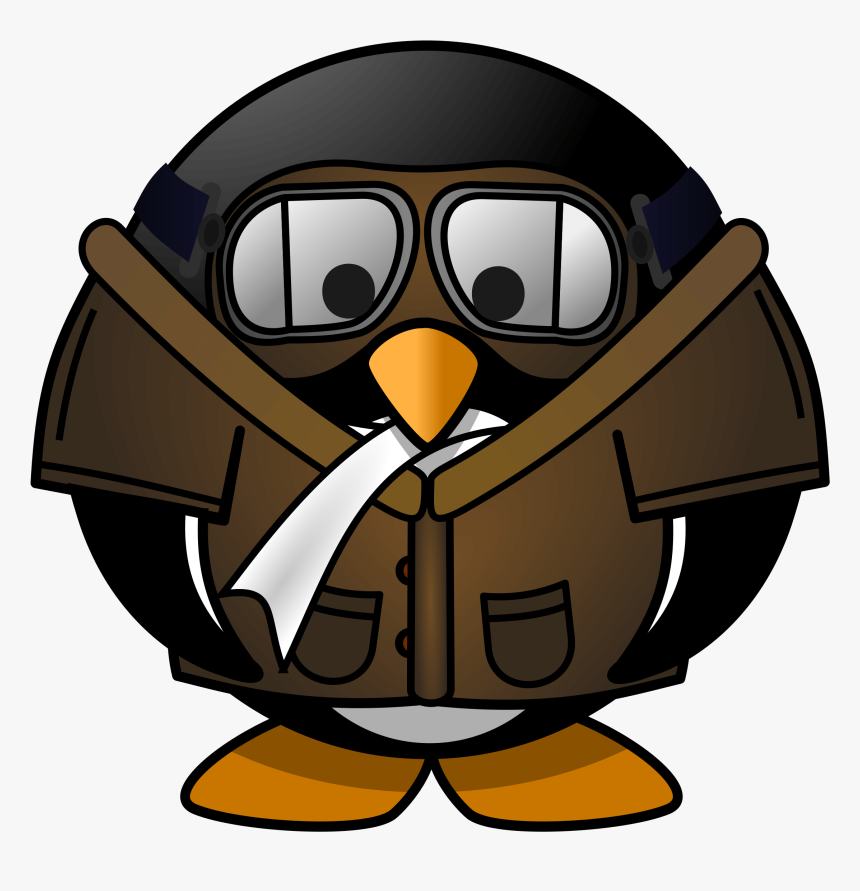 Penguin Pilot, HD Png Download, Free Download