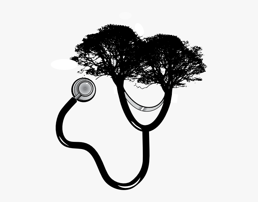 Stethoscope-tree Clip Art At Clipart Library - Green Tree Silhouette Png, Transparent Png, Free Download