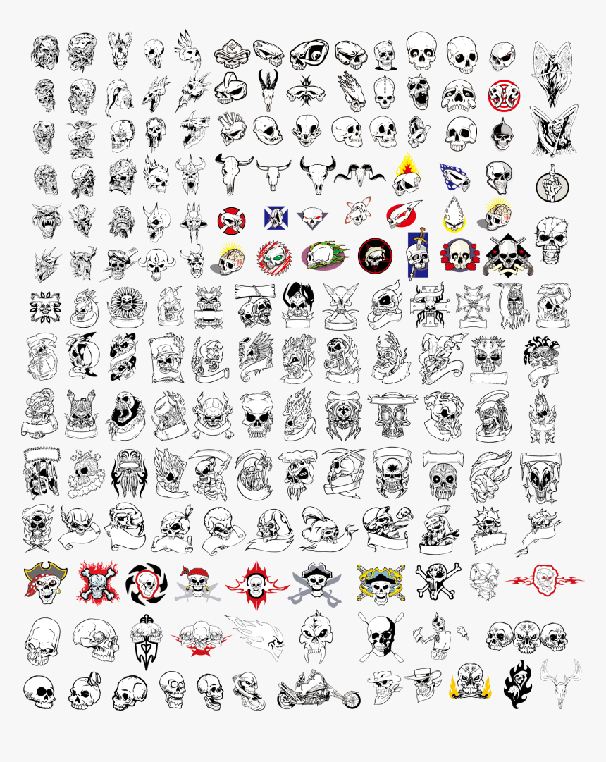 Illustrator Vector Adobe Skeleton Skull Free Frame - Skull, HD Png Download, Free Download