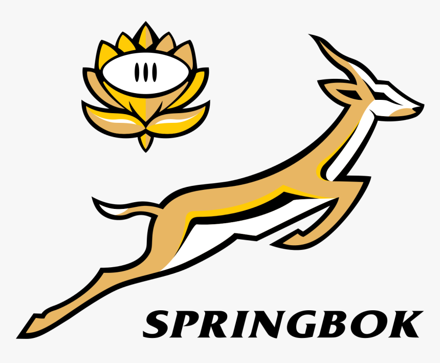 Vector Springbok Rugby Logo, HD Png Download, Free Download