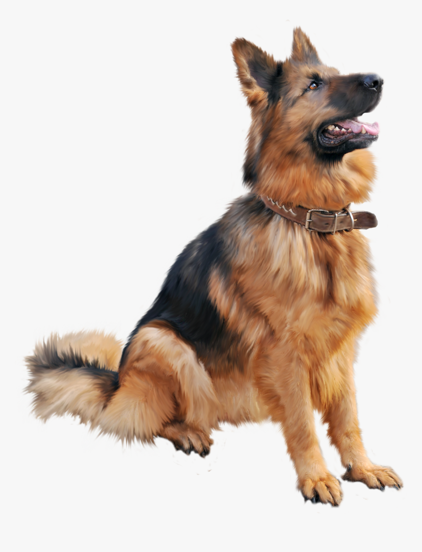 Png Dog, Transparent Png, Free Download