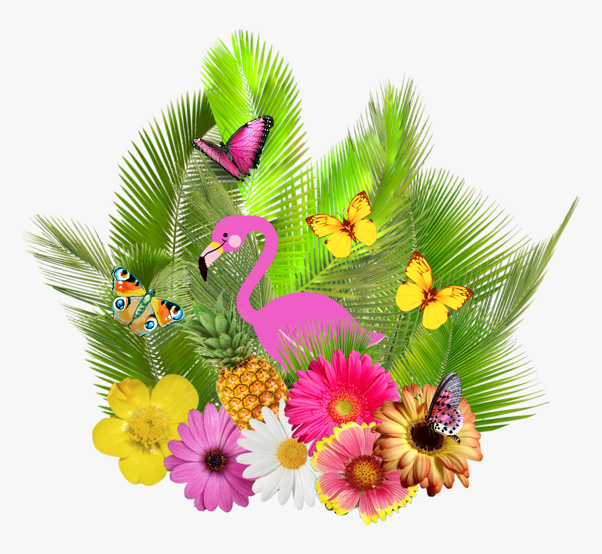 #natureza #flamingo #abacaxi🍍 #borboleta #folhagem - Portable Network Graphics, HD Png Download, Free Download