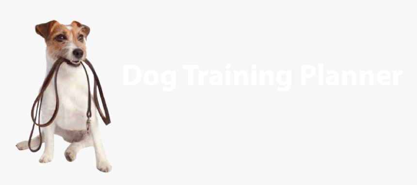 Dog Training Planner - Dogs Play Png, Transparent Png, Free Download