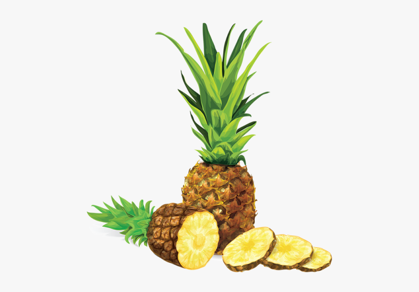 Clip Art Abacaxi Vetor - Pineapple Cut Clipart, HD Png Download, Free Download