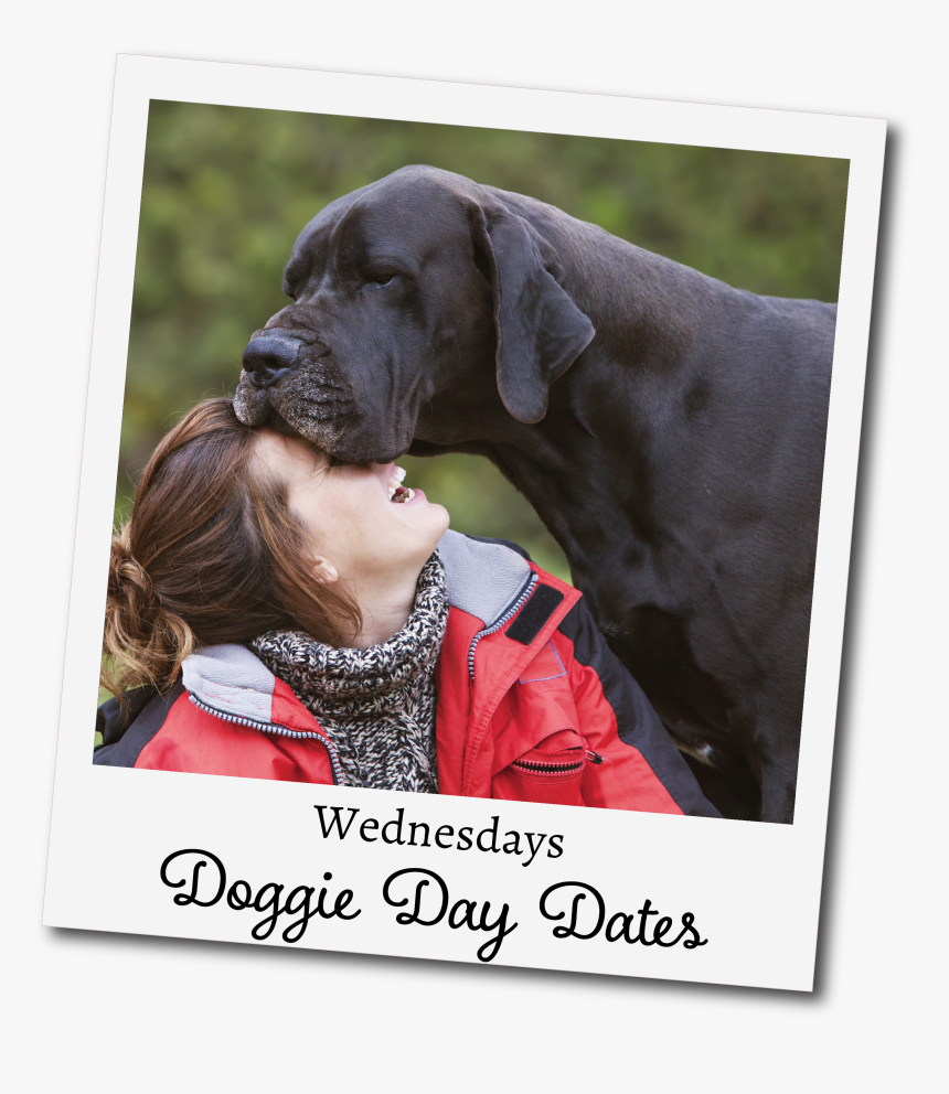 Great Dane With Girl, HD Png Download, Free Download
