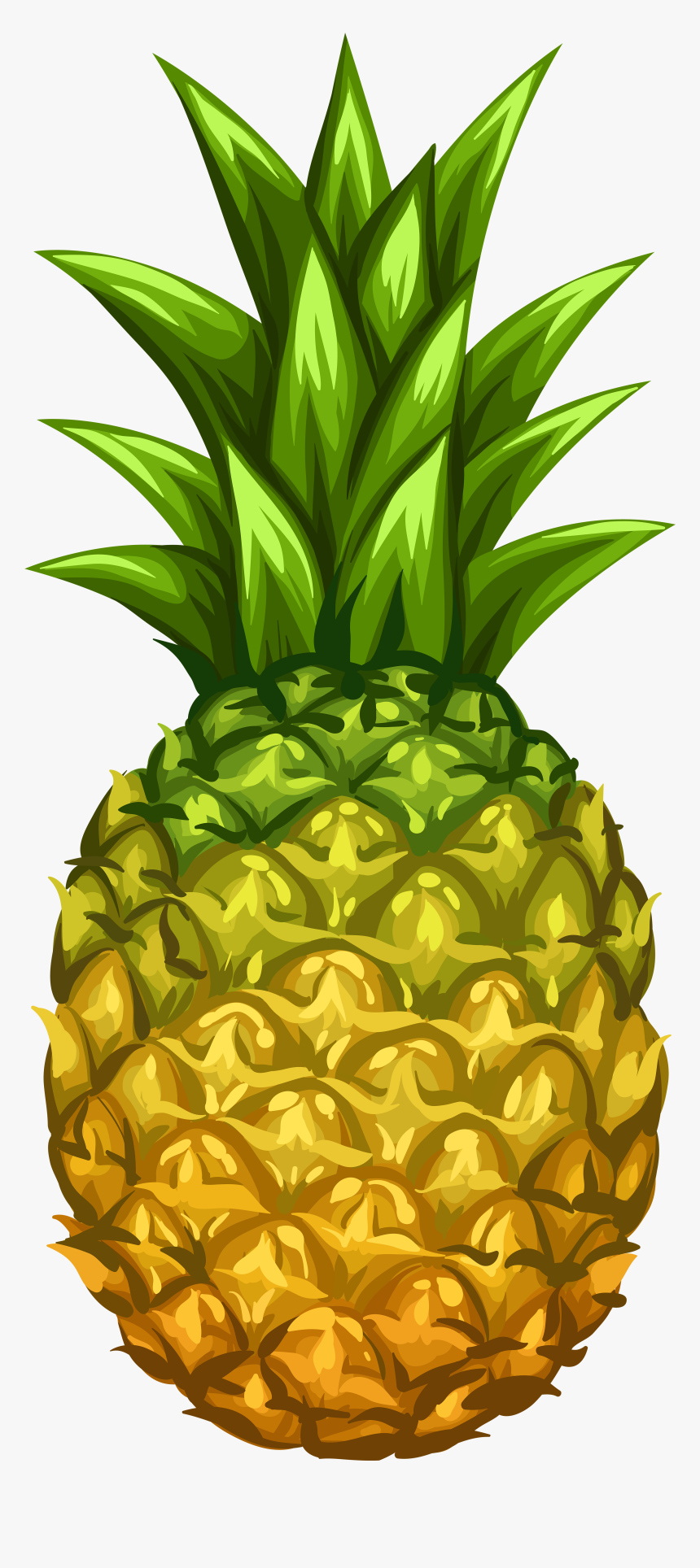 Clip Art Image Gallery - Ananas Clipart, HD Png Download, Free Download