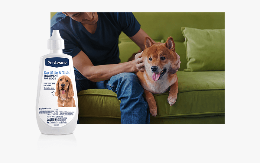 Ear Care - Guy In Blue Shirt With Dog, HD Png Download, Free Download