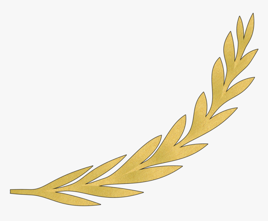 Plant,flower,leaf - Golden Olive Branch Vector, HD Png Download, Free Download