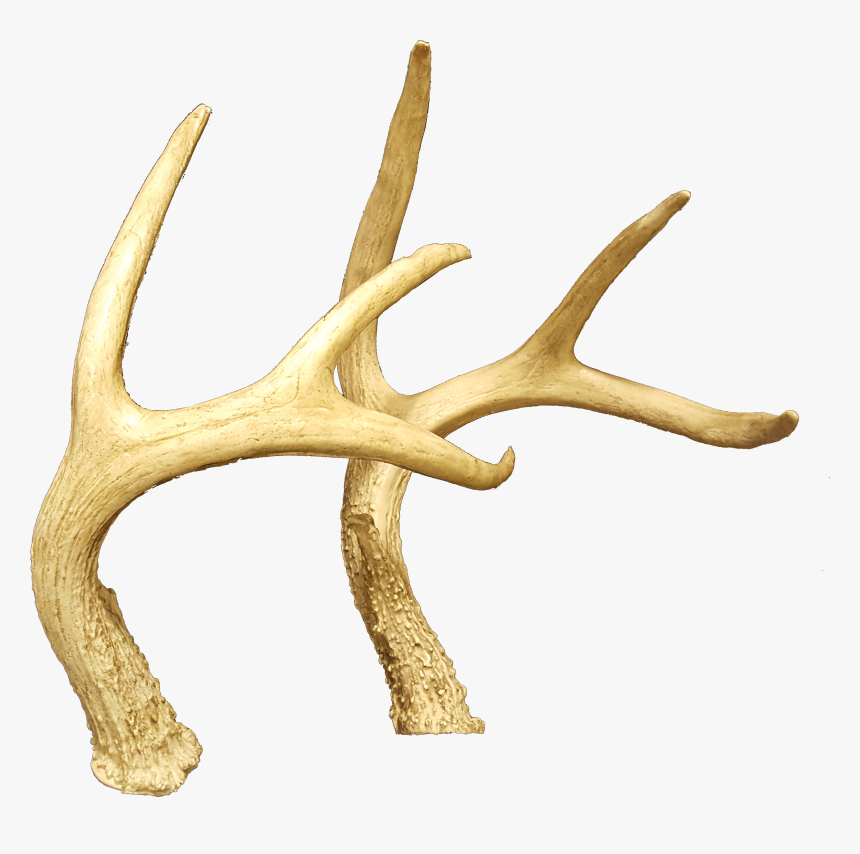 Transparent Deer Rack Png - Reindeer, Png Download, Free Download