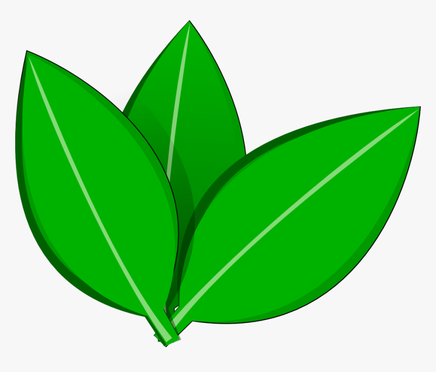 Vector Leaves Inkscape By Dyreryft On Clipart Library - Leaves Transparent Vector, HD Png Download, Free Download