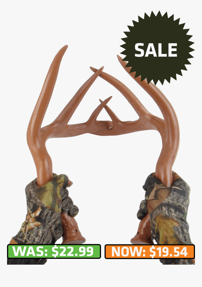 Deer Antlers For Rattling, HD Png Download, Free Download