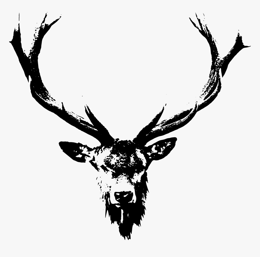 Deer Rack Png, Transparent Png, Free Download