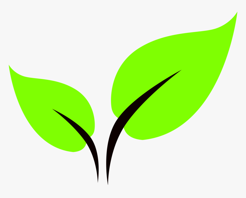 Icon Green Leaf Png, Transparent Png, Free Download
