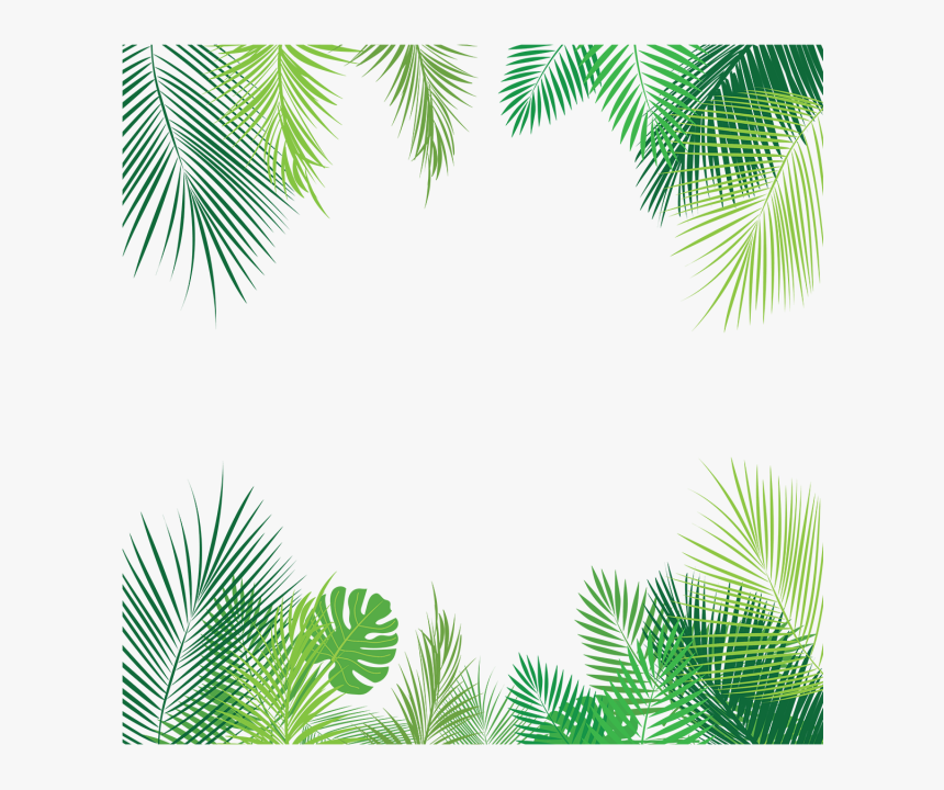Tropical Leaves Png - Summer Border, Transparent Png, Free Download