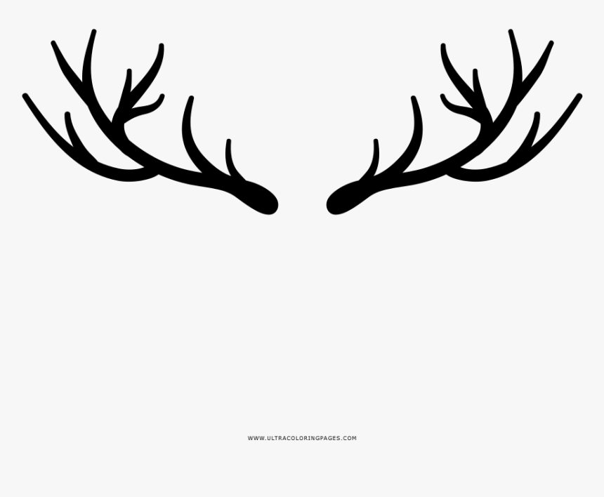 Deer Horns Coloring Page - Deer Antler Coloring Sheet, HD Png Download, Free Download