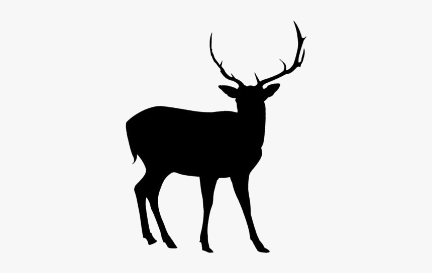 Deer Png Transparent Images - Elk, Png Download, Free Download