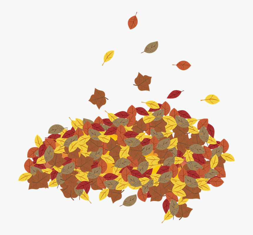 Graphic, Leaf, Leaves, Leaf Pile, Fall, Season, Autumn - Leaf Pile Transparent Background, HD Png Download, Free Download