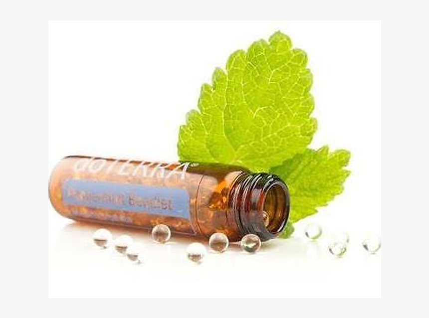 Doterra Peppermint Essential Oil - Peppermint Essential Oil Transparent Doterra, HD Png Download, Free Download